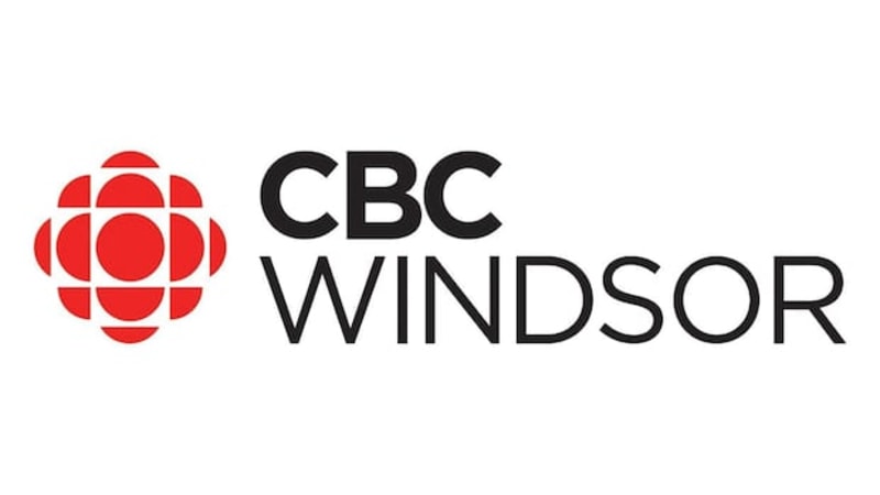 Windsor Lawyer Breaks 3 World Records After Starting at 61 - Image 3