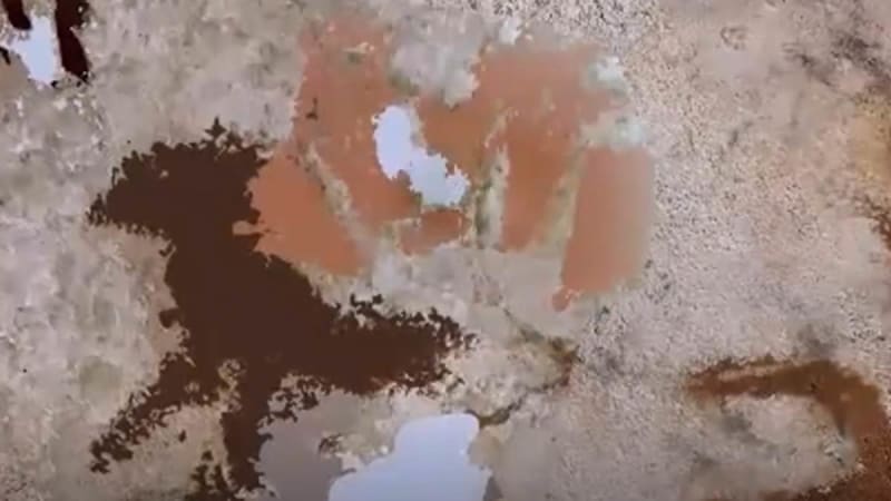 67,000-Year-Old Hand Art Found in Indonesian Cave