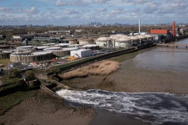 Thames Swimming Spot Among 13 UK Rivers Getting Clean Status - Image 5