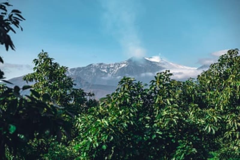 Sicilian Farmers Turn Volcano Ash Into Natural Fertilizer - Image 4