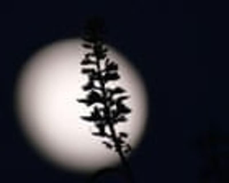 Race to the Moon: How America Plans to Reclaim Lunar Leadership by 2026