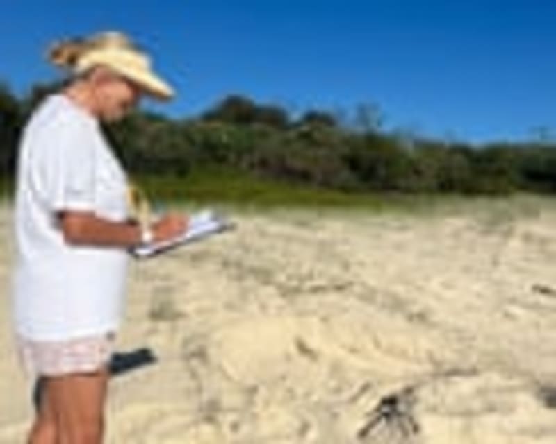 Coastal Community Heroes Mobilize to Save Endangered Sea Turtles in New South Wales