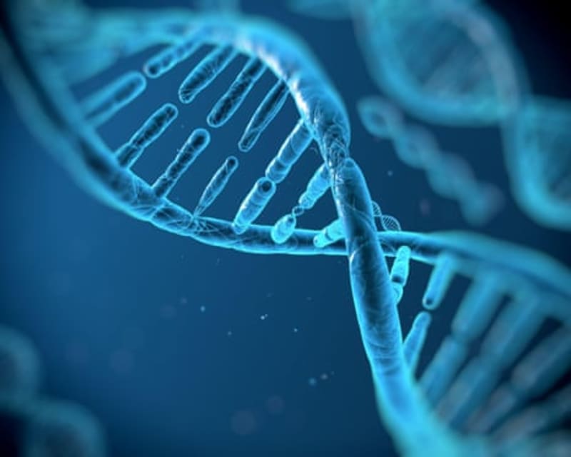 Your Genes May Control Half Your Lifespan, Study Finds - Image 3