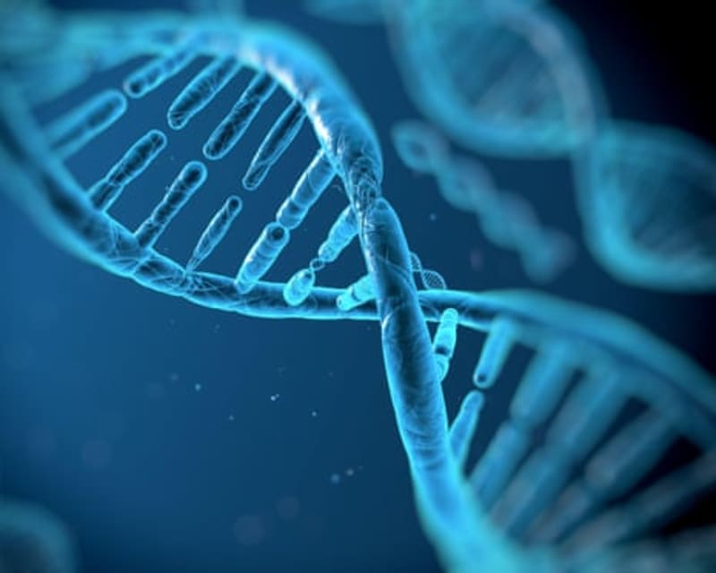AI Tool Reads 1 Million DNA Letters to Find Disease Causes - Image 3