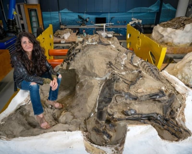 New AI App Identifies Dinosaur Footprints Like a Pro - Image 5