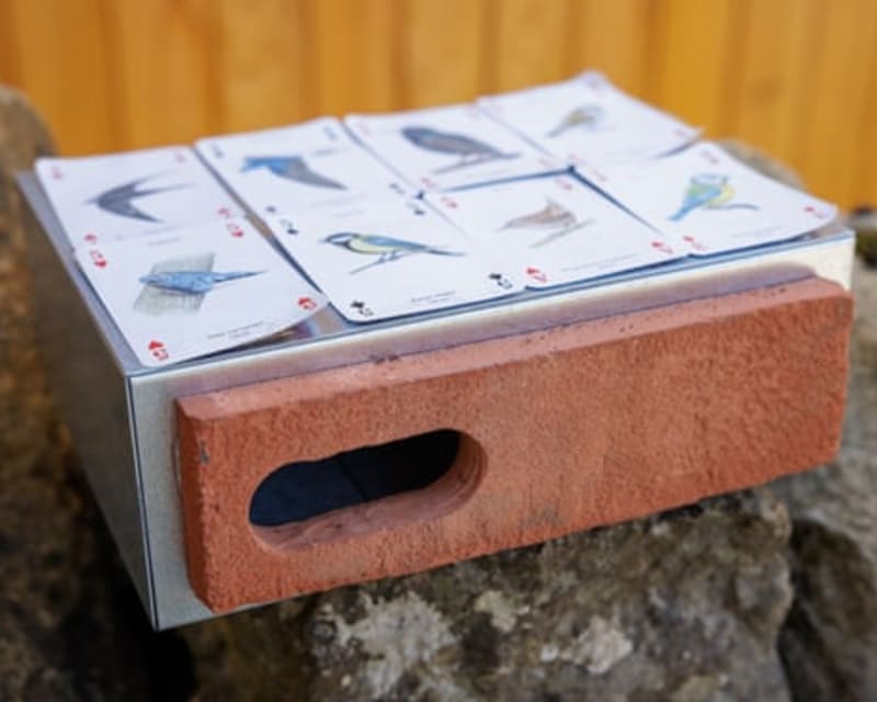 Scotland Mandates Swift Bricks for All New Buildings - Image 3
