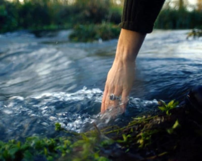 Princess Catherine Celebrates 44th Birthday, Shares How Nature Helped Her Heal - Image 4