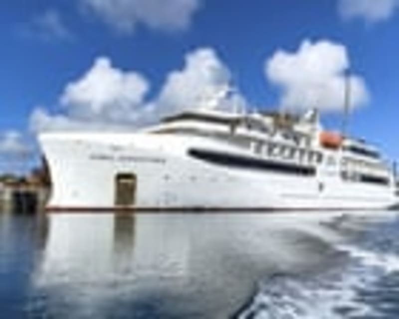 Maritime Adventure Takes Unexpected Turn: Cruise Ship Grounds Near Papua New Guinea