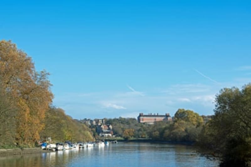 Thames Swimming Spot Among 13 UK Rivers Getting Clean Status - Image 4