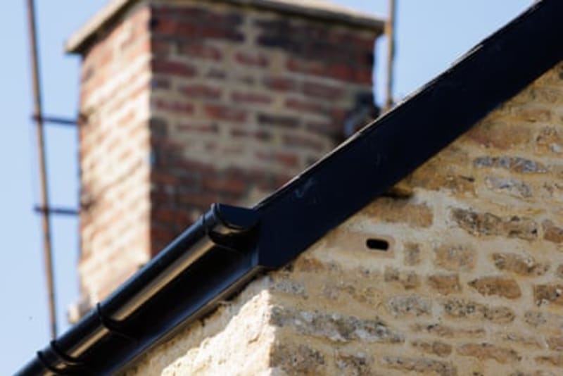Scotland Mandates Swift Bricks for All New Buildings - Image 4