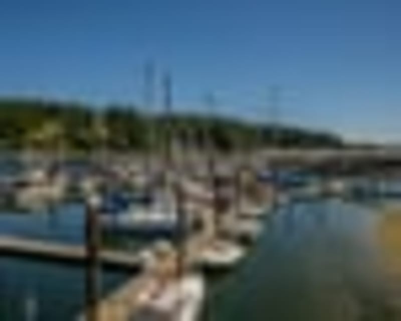 Engineer Finds Security Flaw in 7,000 Robot Vacuums - Image 5