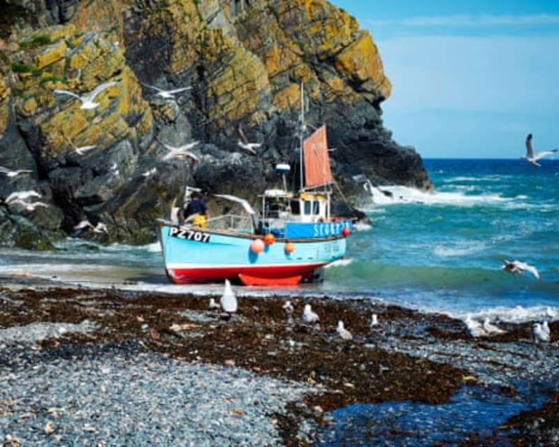 UK Supermarkets Could Unlock Health Benefits with Delicious Local Fish - Image 3