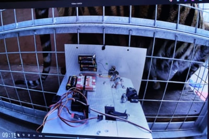 Ex-Zookeeper's Robot Vaccinates Badgers Without Stress - Image 4
