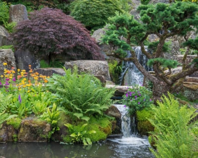 UK Gardens Get Major Water-Saving Makeover for Climate Future - Image 3
