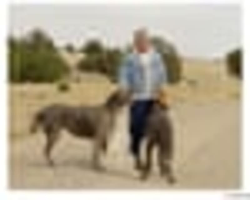 Investors Push Banks to Keep Climate Promises Strong - Image 5