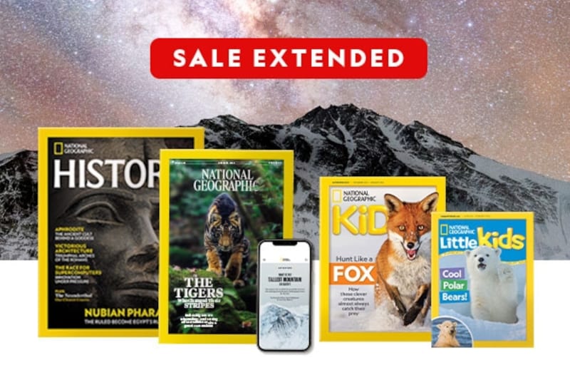 Monk's Pea Plant Discovery Changed Science Forever - Image 5