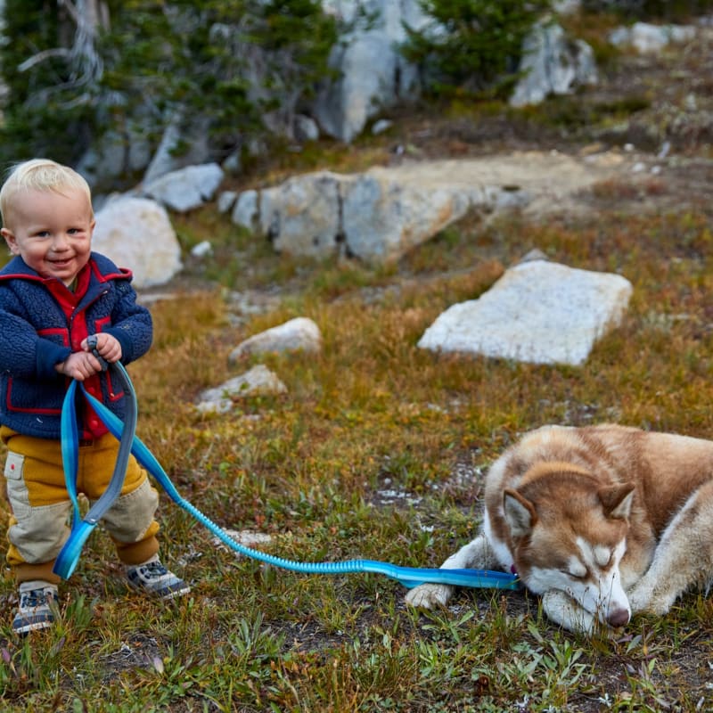 Dogs Find New Truffle Species While Hunting in North Carolina - Image 4