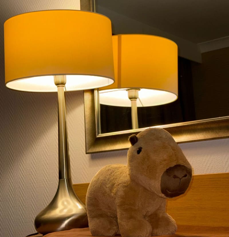 Meet Chunk: Adorable Capybara Offering Emotional Support Online