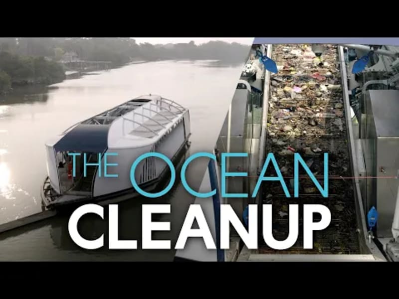 Teen Turns High School Project Into Ocean Cleanup Empire - Image 5