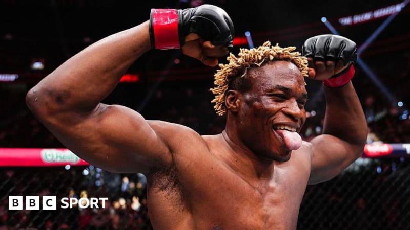 UFC Fighter Adopts Twin Kittens, Credits Them for Success