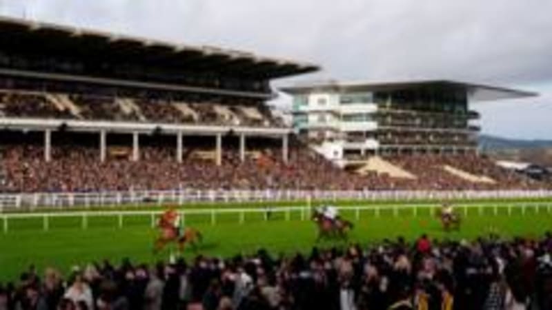 Racing History Made: Cheltenham Welcomes Record 44,000 on New Year's Day