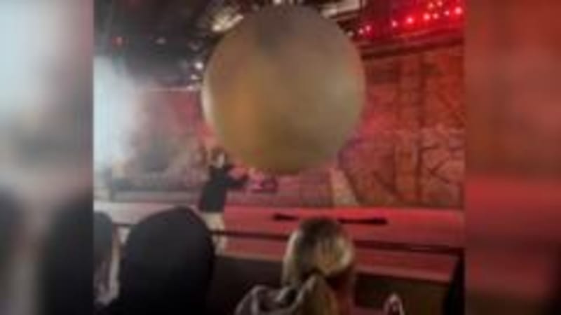 Disney Worker Heroically Stops 400-lb Boulder from Striking Audience