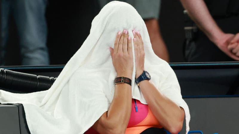 Rybakina Stages Epic Comeback to Win Australian Open - Image 3