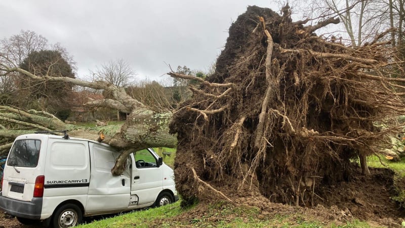 50+ Volunteers Rebuild Storm-Hit Island House in One Day - Image 5