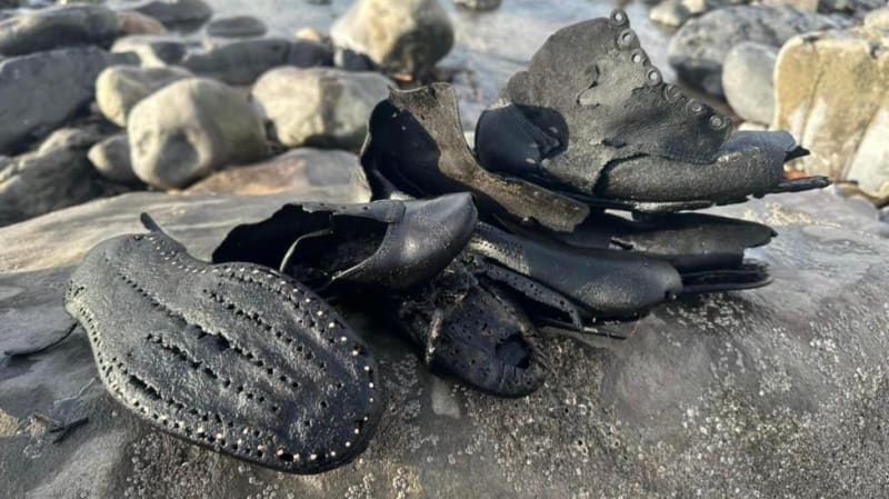 Wales Recycling Crew Finds £500 Handbag in 800-Tonne Pile - Image 4