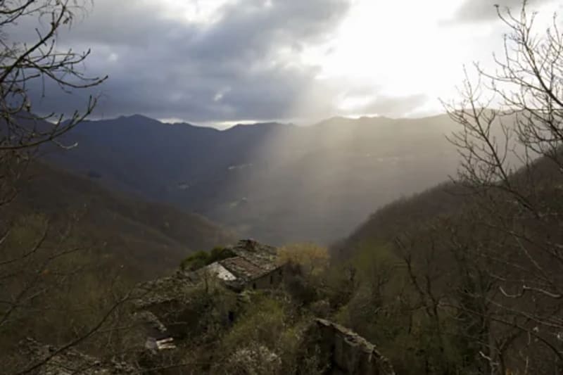 Europe's 'Ghost Cat' Returns After Near Extinction - Image 5