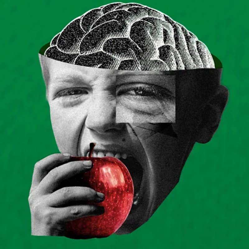 Eating More Fiber Could Protect Your Brain From Decline - Image 2