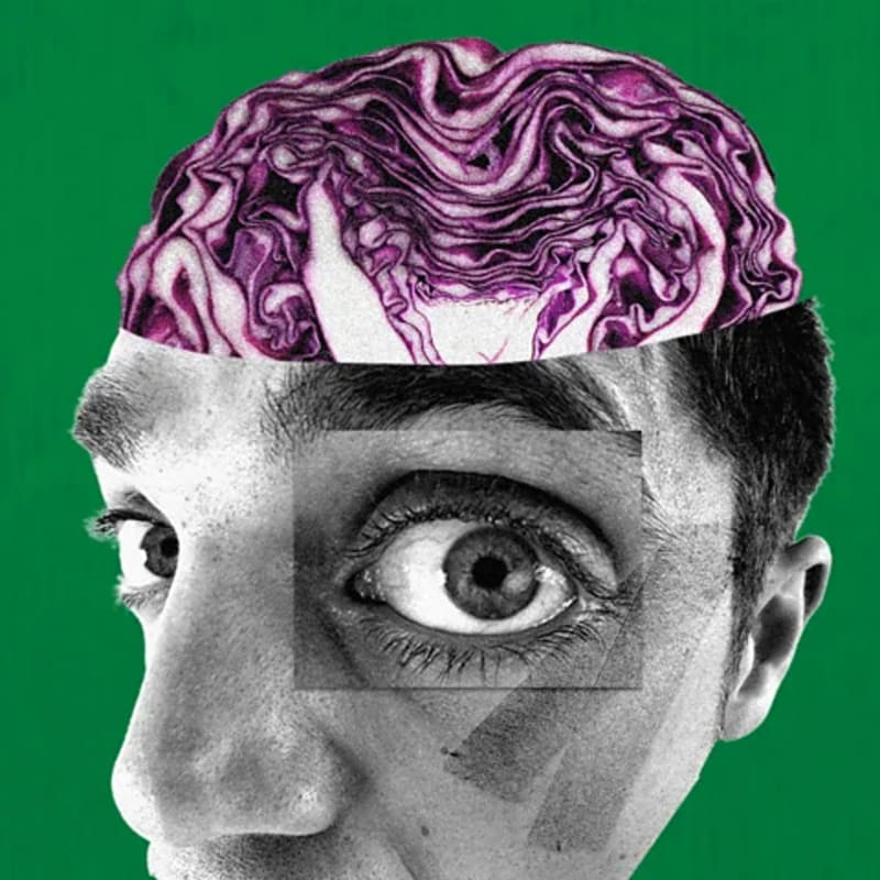 Fiber Cuts Dementia Risk and Could Add Years to Your Life - Image 3