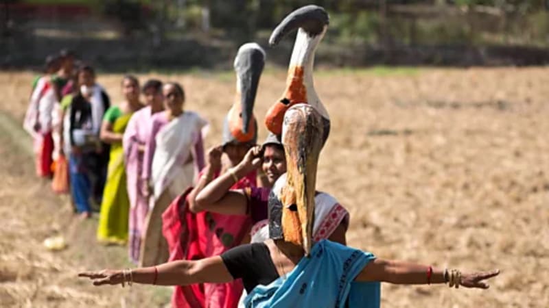 20,000 Women Save India's 'Bone-Swallower' Stork - Image 2