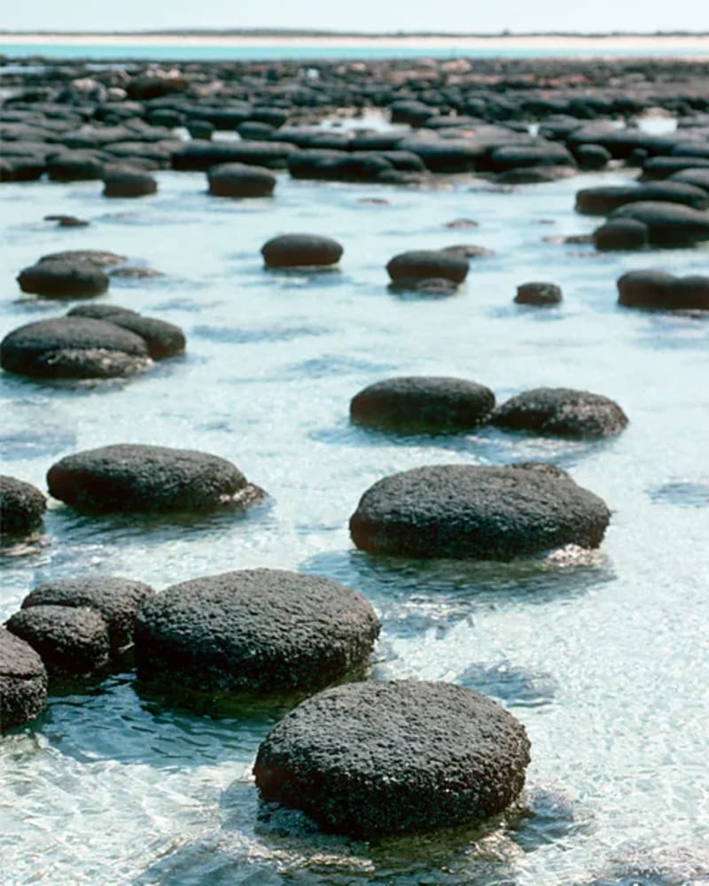 Cave Microbes Expand Search for Life Beyond Earth - Image 5