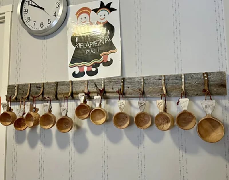 Toddlers in Finland Bring Dying Language Back to Life - Image 3