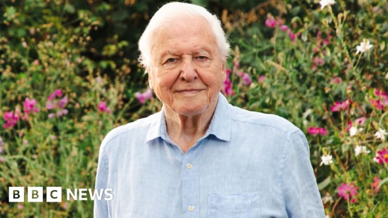 BBC Celebrates David Attenborough Turning 100 This May
