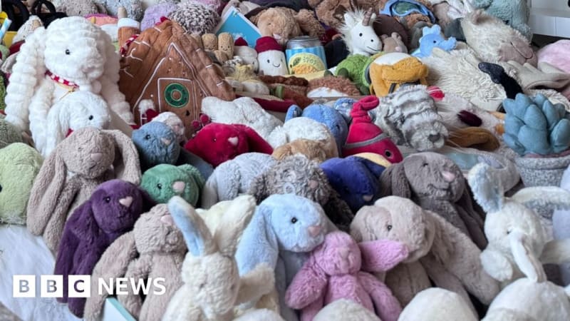 Teen Hits 1,000+ Jellycats After 20p Charity Shop Find