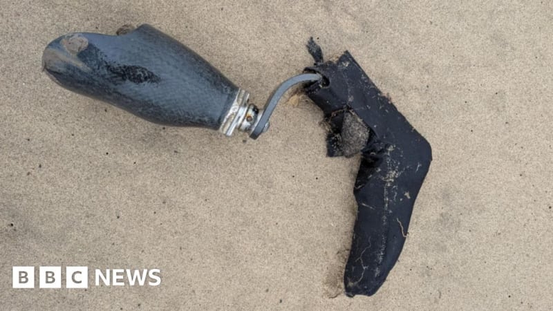 Woman Reunited With Prosthetic Leg Lost at Sea 10 Months Ago