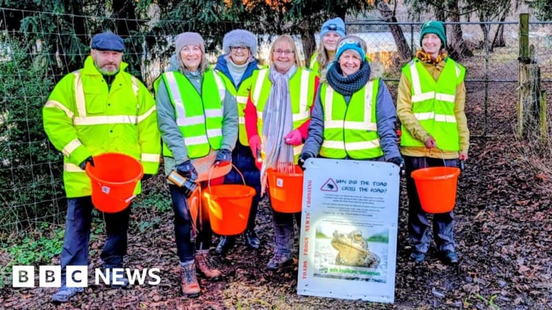 Volunteer holding bucket and torch preparing to help toads cross road at night