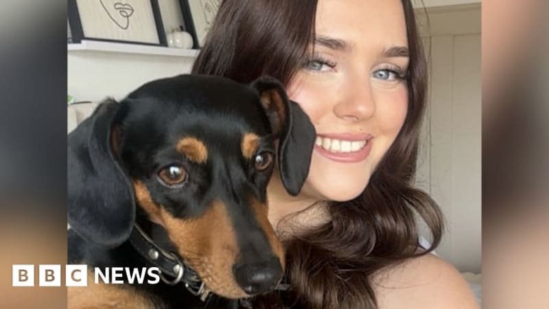 Volunteers Find Lost Dachshund After 36-Hour Motorway Escape