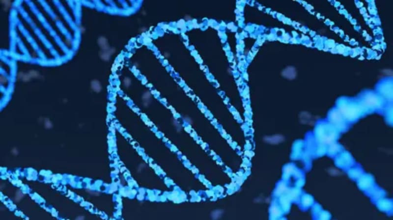 DeepMind's AlphaGenome AI Cracks 'Dark Genome' Code - Image 2