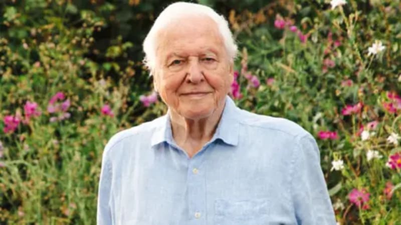 BBC Celebrates David Attenborough Turning 100 This May - Image 2