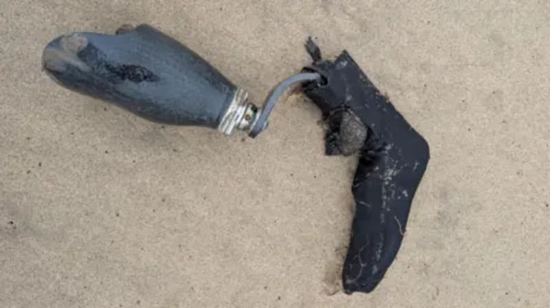 Woman Reunited With Prosthetic Leg Lost at Sea 10 Months Ago - Image 2