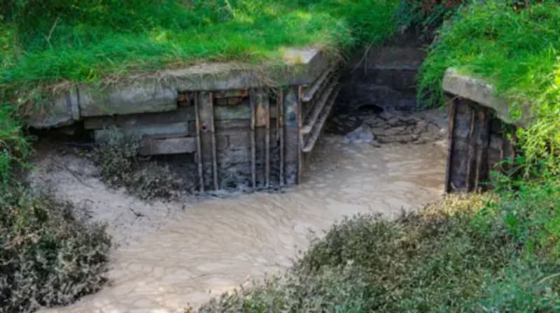 Wales Creates New Water Watchdog to Clean Up Rivers - Image 4
