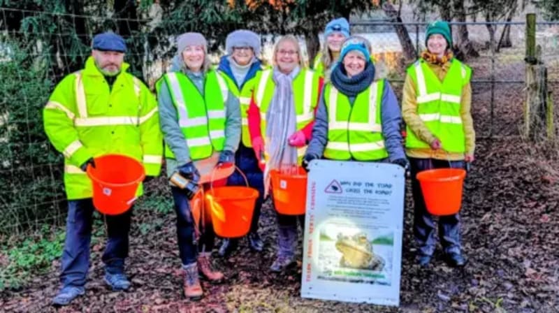 60 Volunteers Gear Up for 'Toadmageddon' in Lincolnshire - Image 2