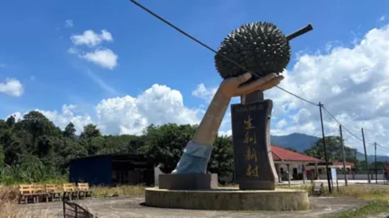 Malaysian Town Strikes Gold With $7B Durian Boom - Image 3