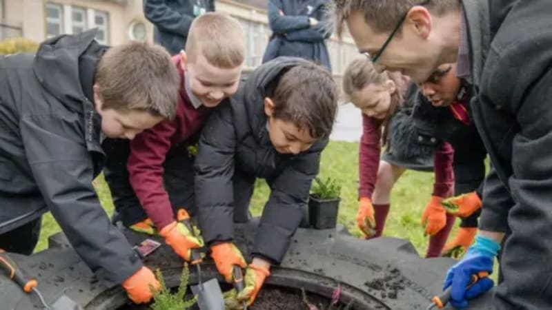 Glasgow Creates 40 Wild Spaces to Save Butterflies - Image 2