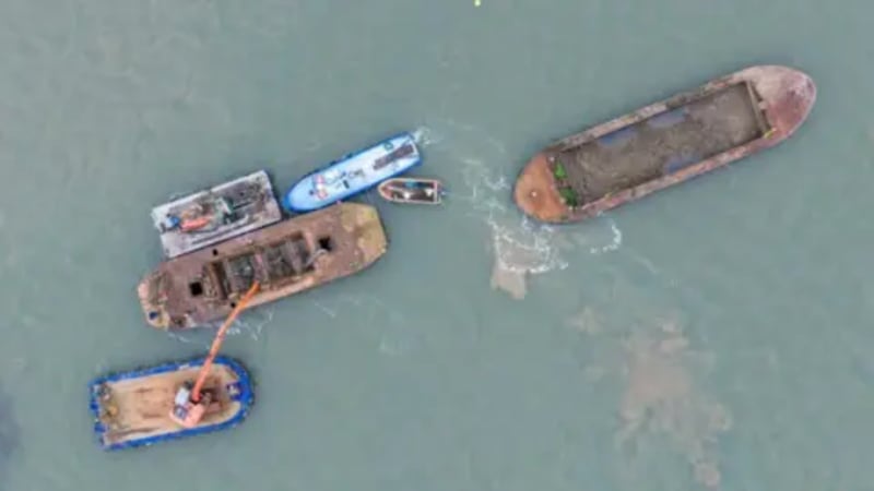 Old Barges Become Bird Island in UK First - Image 4