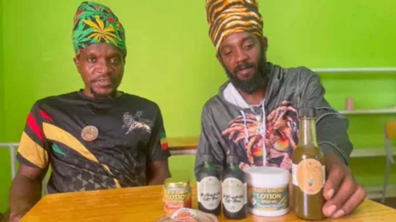 Caribbean Cannabis Industry Blooms After Decade of Reform - Image 5