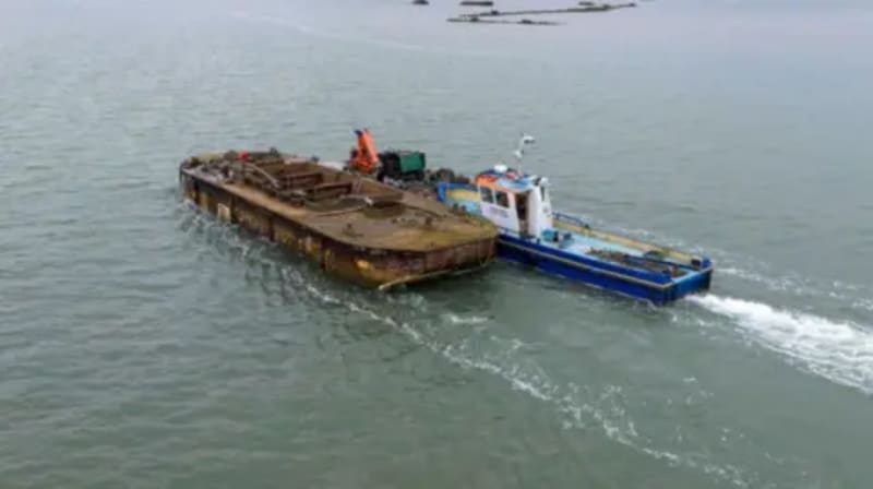 Old Barges Become Bird Island in UK First - Image 3